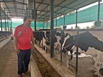 Neues vom Kuhprojekt august 2021